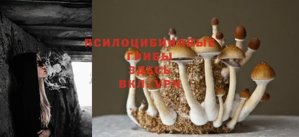 синтетический гашиш Киренск