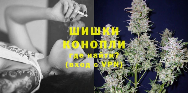 гидра Карпинск