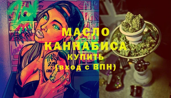 сатива Каменка