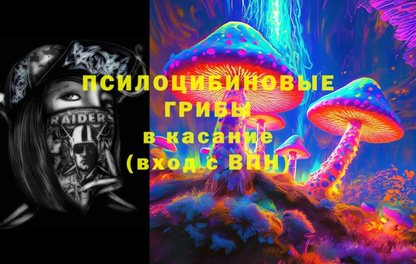 гидра Карпинск