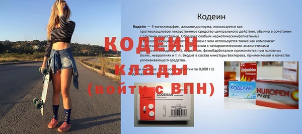 гидра Карпинск
